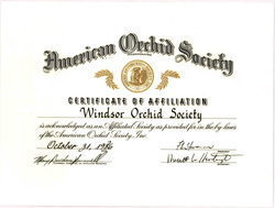 1986 Certificate of Affiliation